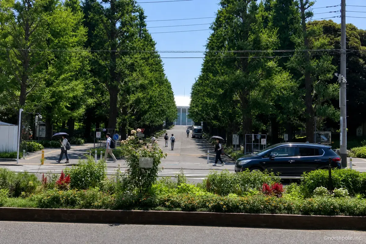 日吉駅東側の緑豊かな並木道