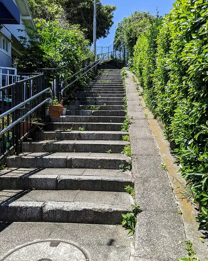 横浜市中区元町付近の緑に囲まれた石段